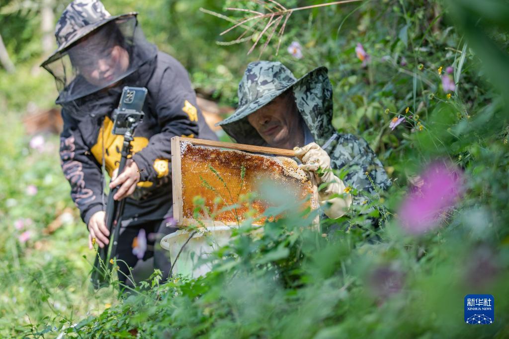 九州十年信誉网pc登陆